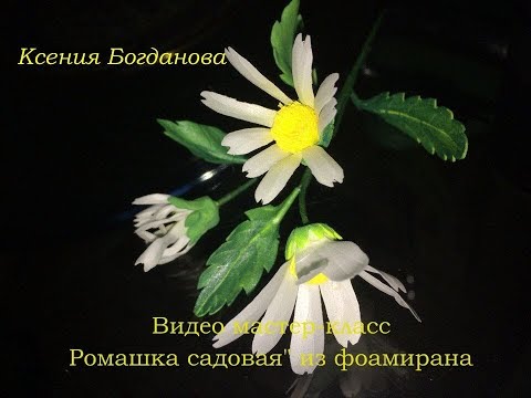 Видео: Ромашка садовая из фоамирана видео мастер-класс flowers fom