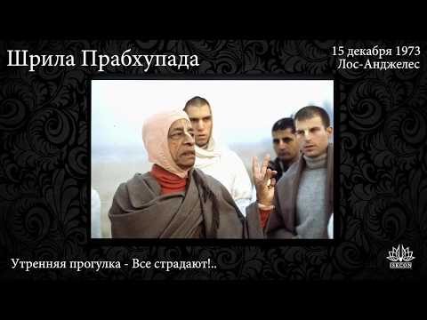 Видео: Все страдают! - беседа на утренней прогулке