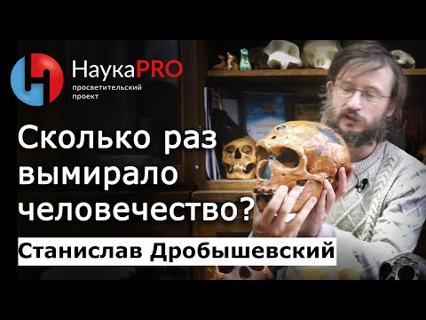 Видео: Сколько раз вымирало человечество? – Станислав Дробышевский | Научпоп | Лекции по антропологии