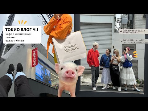 Видео: ТОКИО! минипиг кафе, шопинг, еда из 7 Eleven, прогулки / часть 1