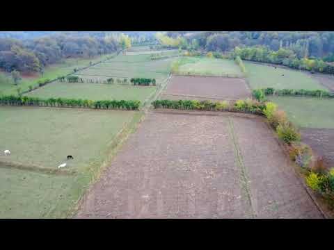 Видео: 15 октября 2024 г.