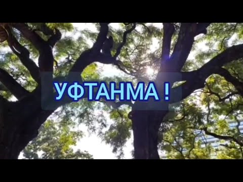 Видео: УФТАНМА!/Не унывай!