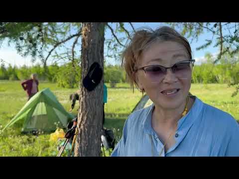 Видео: Таатта алаастарынан