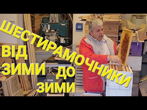 Видео: Річний цикл рооти 6ти рамочнокого вулика! #бджільництвов6тирамковихвуликах