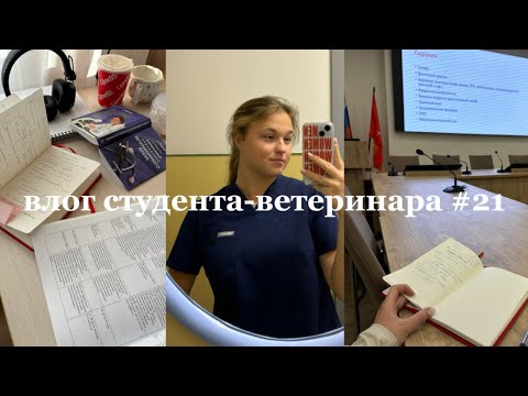 Видео: влог студента-ветеринара #21