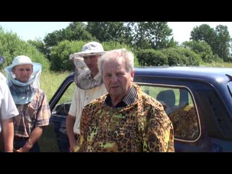 Видео: Цебро В.П. Не менее 100 кг меда от зимовалой семьи.Фильм1