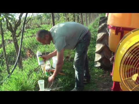 Видео: Профилактическая обработка малины и ежевики за две недели до цветения в Батькив сад