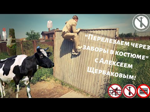Видео: "Перелезаем через заборы в костюме с Алексеем Щербаковым" (ток шоу) 3ий выпуск.