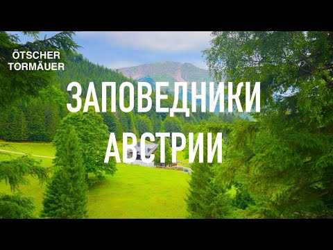 Видео: Природный заповедник Австрии Этчер  Тормойер (Ötscher-Tormäuer)