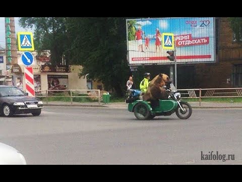 Видео: ТЕСТ НА ПСИХИКУ, КТО ЗАСМЕЁТСЯ ИЛИ УЛЫБНЕТСЯ - лайк и подписка!