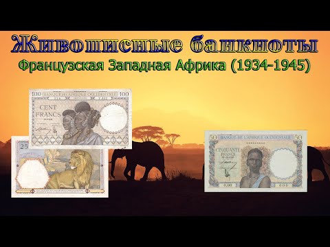 Видео: Банкноты Французской Западной Африки (1934-1945гг). Живописные банкноты // Коллекция банкнот