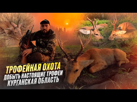 Видео: ОХОТНИЧЬИ ЭКСПЕДИЦИИ. Трофейная охота на сибирскую косулю
