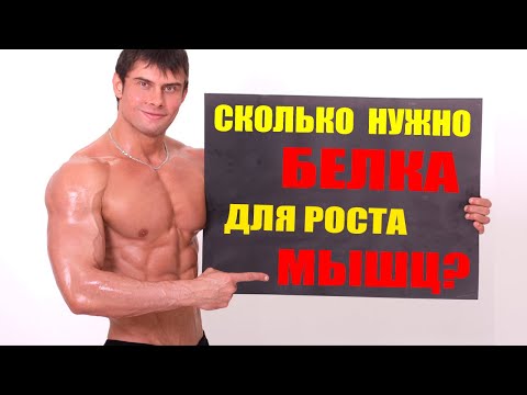 Видео: Сколько нужно есть белка для набора мышечной массы? Мой личный опыт