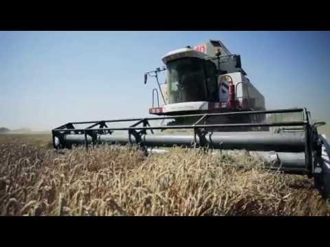 Видео: Фильм "Я люблю Новокубанский район" 2016 год