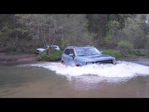 Видео: Haval dargo X в лесу вместе с другими Дарго, Танк 300 и Нивой