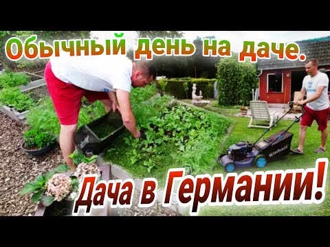 Видео: Косим газон и сразу же мульчируем грядки!