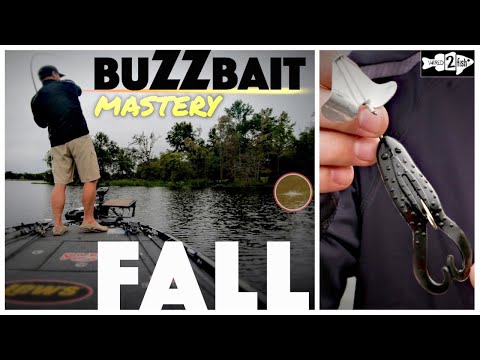 Видео: Советы по ловле окуня осенью с помощью приманки Buzzbait