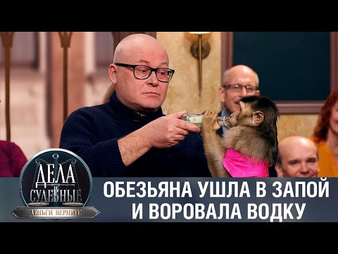 Видео: Дела судебные с Дмитрием Агрисом. Деньги верните! Эфир от 06.02.23