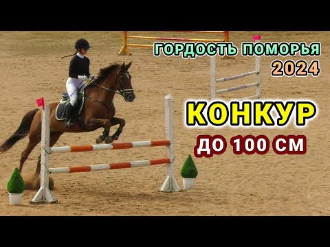 Видео: Конкур с высотой препятствий до 100 см - Гордость Поморья 2024