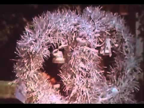 Видео: Фильм о г  Лисичанске 80 х г