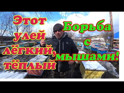 Видео: УЛЕЙ ИЗ ДВП НАСКОЛЬКО ЭКОЛОГИЧНЫЙ, ПРИ ЗИМОВКЕ ТЕЧЁТ, БОРЬБА С ГРЫЗУНАМИ