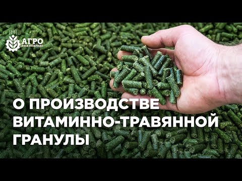 Видео: Бизнес на люцерновой грануле. Из чего состоит процесс и насколько это выгодно.