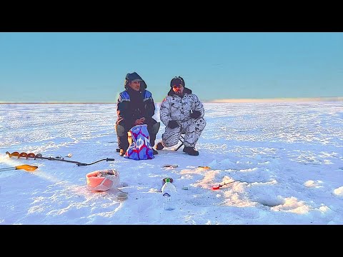 Видео: Наловили ПЛОТВЫ на озере . Ловля плотвы в глухозимье на мормышку и крючок .