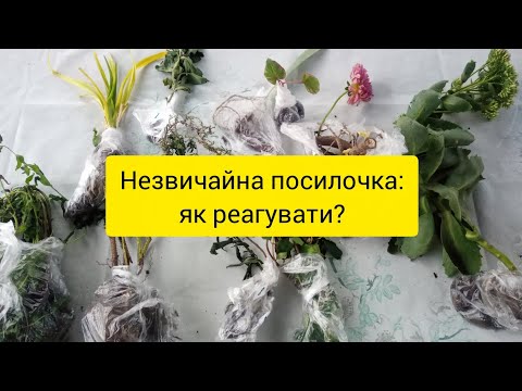 Видео: Посилка із ФБ, розпаковка. Як зекономити на рослинах. Що посадити влітку.