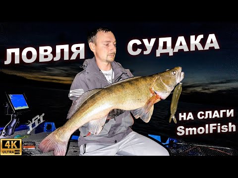 Видео: ЛОВЛЯ СУДАКА НА СЛАГИ SmolFish