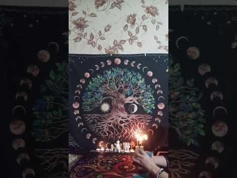 Видео: 👍👌ТАРО ДЛЯ МУЖЧИН. Каких изменений вам ждать в ноябре#мысличувствадействия #tarot 👍👌👍