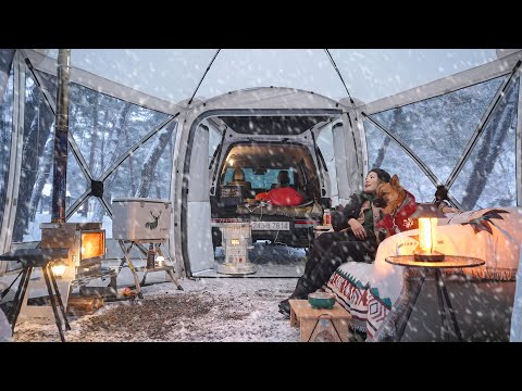 Видео: Уютный соло-кемпинг в прозрачной палатке с моей собакой во время сильного снегопада, Влог о кемпинге