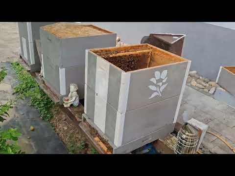 Видео: Лучше плохо начинать  .Чем хорошо бездействовать. Хобби. 🍯 Мёд. 