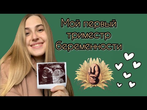 Видео: Мой Первый Триместр Беременности|страхи, первое узи, хгч