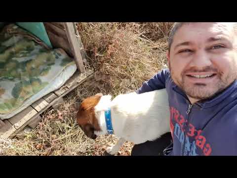 Видео: ЖИВОТ НА СЕЛО: един ден на село с Дидо