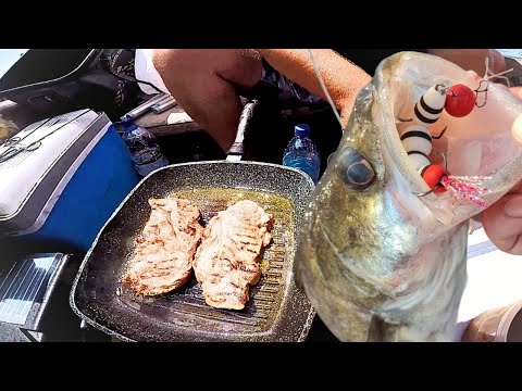 Видео: !!! КАЙФОВА РИБАЛКА !!! Сазан, Судак, Мясо, Пошук з ехолотом Лоуренс Еліт ФС9
