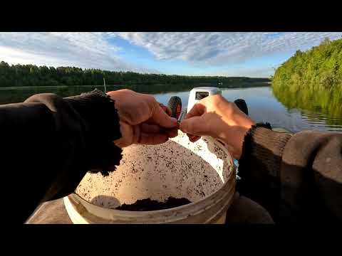 Видео: ГРУЗ НЕ УСПЕВАЕТ ПАДАТЬ! РЫБАЛКА С ЛОДКИ! Ловля Леща на донки
