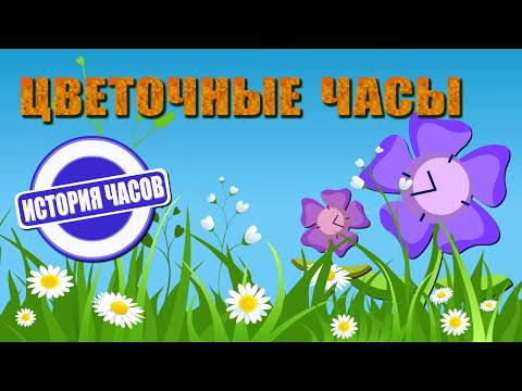 Видео: Цветочные часы: как определить время по цветам | История часов | Познавательное видео