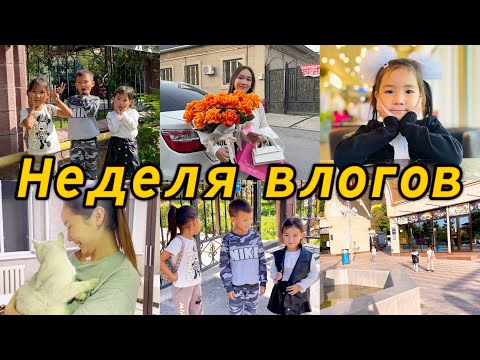 Видео: Неделя влогов🎞️🎥📚🍂🔔🎒🦷😱