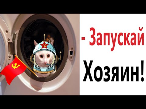 Видео: Лютые приколы. КОТ И СТИРАЛЬНАЯ МАШИНА!!! Тест на психику! Засмеялся проиграл! – Domi Show!