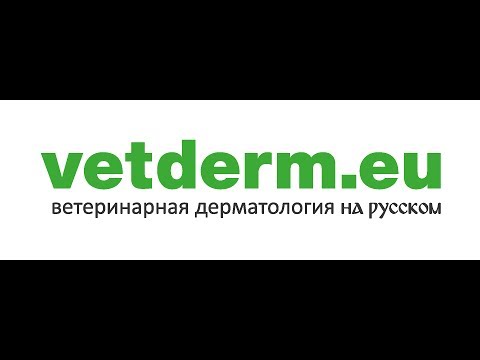 Видео: Атопика.  Применение циклоспорина в дерматологии
