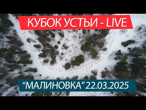 Видео: Лыжный марафон Кубок Устьи - LIVE. Малиновка 22.03.2025