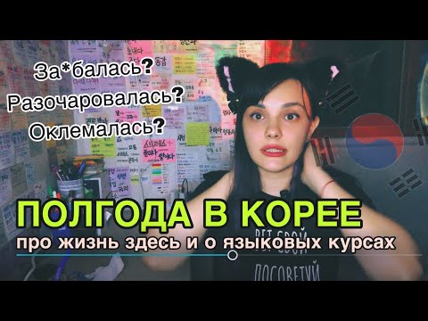 Видео: Полгода в Корее: красавчики в клубах, языковые курсы, местный менталитет, бытовуха