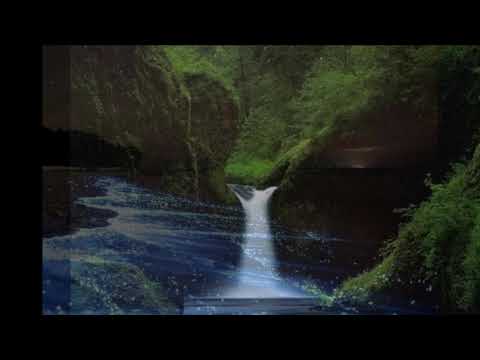 Видео: Рыбка