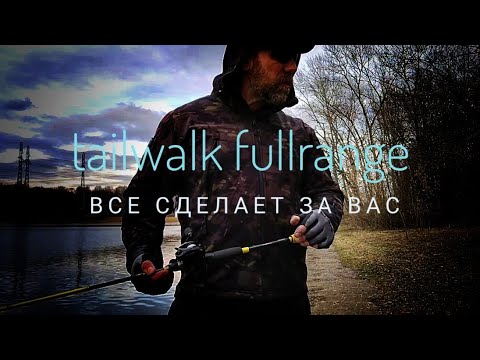 Видео: NGF#583 Tailwalk FULLRANGE Casting Reel. Тестирование на Zаброс