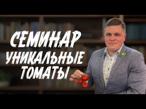 Видео: ЭТИ УНИКАЛЬНЫЕ ТОМАТЫ покорят Вас! Семена томатов для теплицы и улицы. Семинар СЕМКО. Часть 2