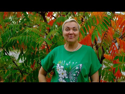 Видео: Платья от 48 до 70 размера  | Обзор + общение в прямом эфире