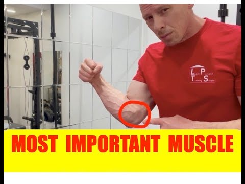 Видео: Силовая тренировка | Самые важные мышцы для армрестлинга