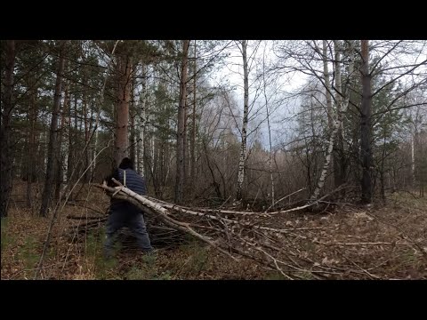 Видео: ПЕРЕЕЗД НЕ ИЗБЕЖАТЬ 2025 год УЖЕ ВСЕ РЕШИЛ/ ГОТОВЛЮСЬ К ЗИМЕ