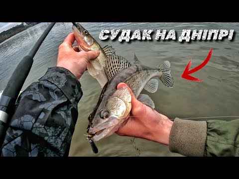Видео: КЛЮЮТЬ ДУПЛЕТАМИ? Знайшли судака в Києві