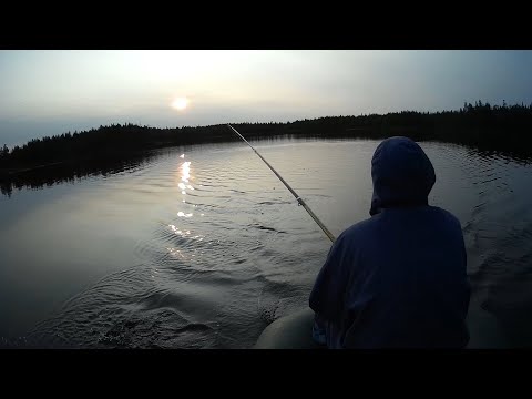 Видео: Рыбалка в августе на карельской ламбине.